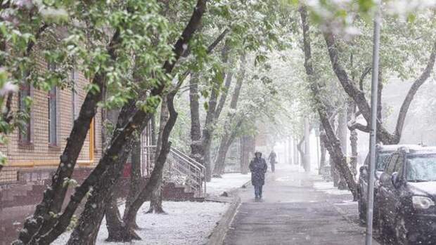 Ежевичная зима пришла в Россию: когда это закончится?