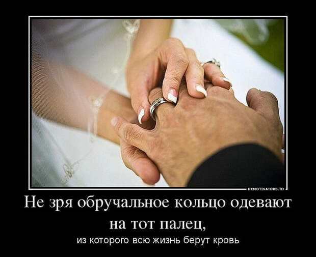 Демотиваторы и мотиваторы. Демотиваторы и закосы под них_12-11-2012 Демотиваторы и мотиваторы. Демотиваторы и закосы под них_12-11-2012
