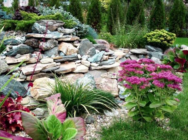 Альпинарий - «изюминка», способная мгновенно преобразить облик садового ландшафта
