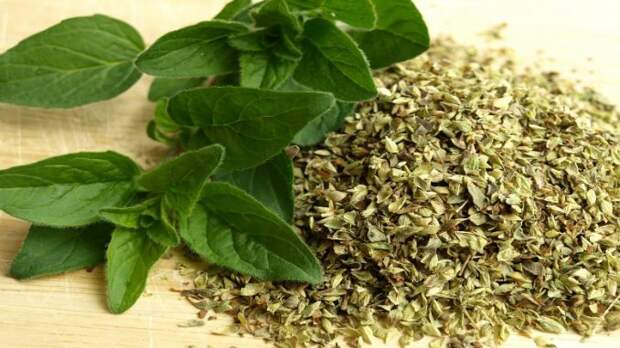 Dushitsa-oregano-678x381