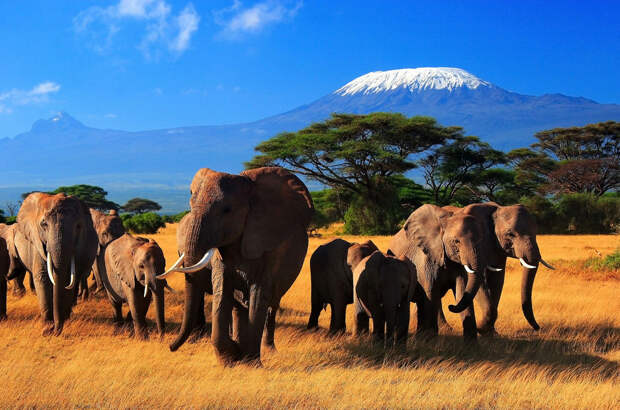 Африка — гора Килиманджаро, 5 895 м