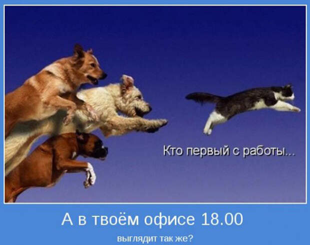 Смешные мотиваторы про работу