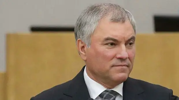 globallookpress - State Duma Russia