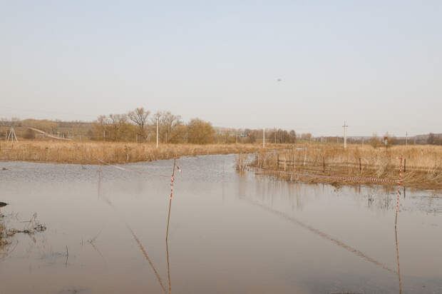 Паводок в Туле отступает: мост в Нижних Присадах открыт для проезда