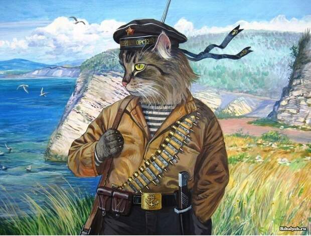 военно-морской кот василий