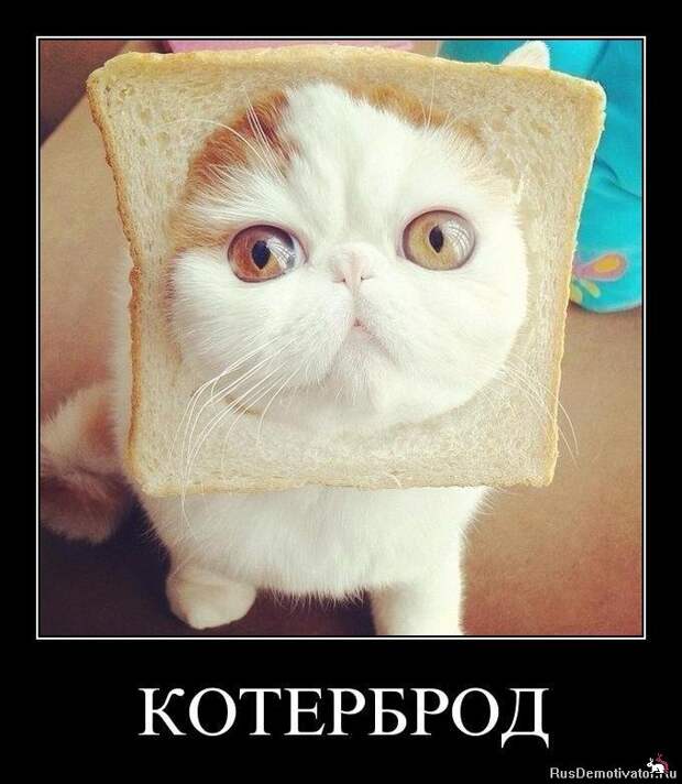Демотиваторы и мотиваторы. Демки суббота