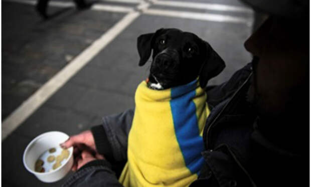30% населения Украины живут в бедности, их число растёт, — Reuters