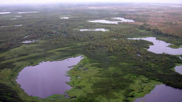 Жителям Ямала готовы предоставить гектары земли в безвозмездное пользование