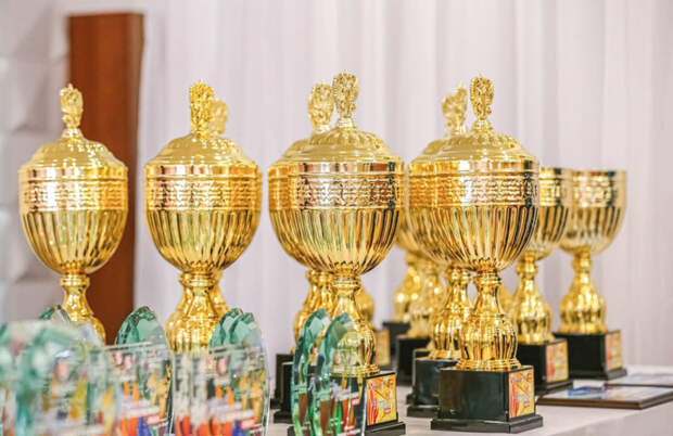 В Добровском сельском поселении прошли соревнования по вольной борьбе