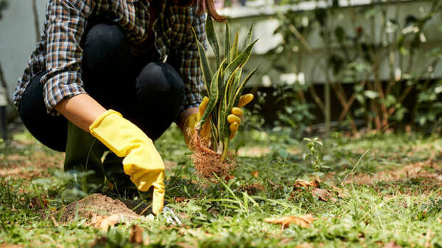 7 полезных штук для дачи своими руками — не потратите ни копейки