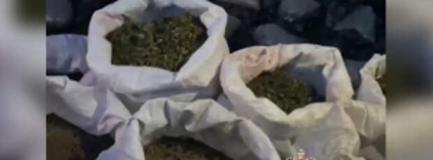В Бурятии сотрудники транспортной полиции изъяли из незаконного оборота более 75 килограммов марихуаны