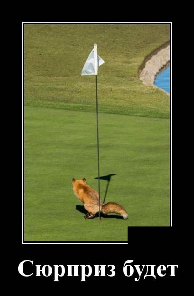 Демотиваторы Демотиваторы