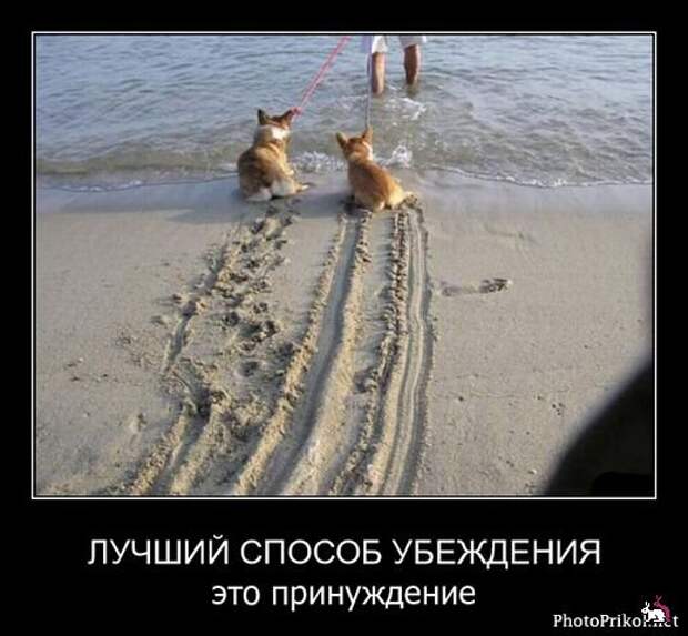 Демотиваторы и мотиваторы. Демки суббота