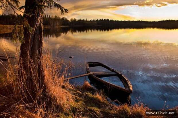 nature_036