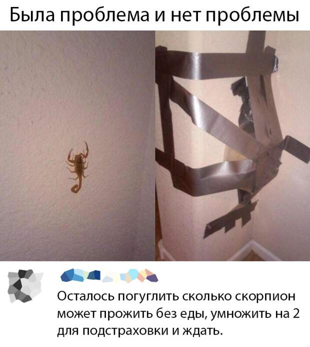 www.vsyako.net