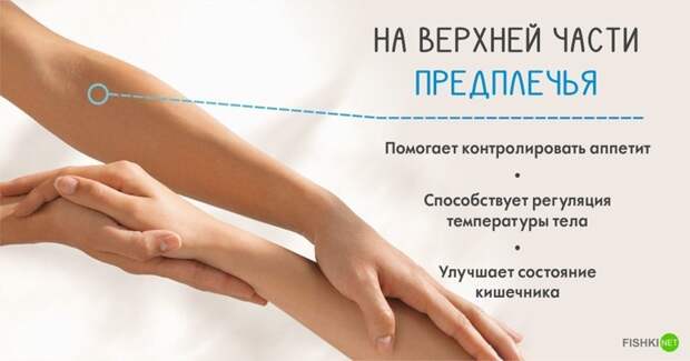 10 секретных точек на теле, благодаря которым можно использовать организм на все 100% долголетие, массаж, тело, точки на теле