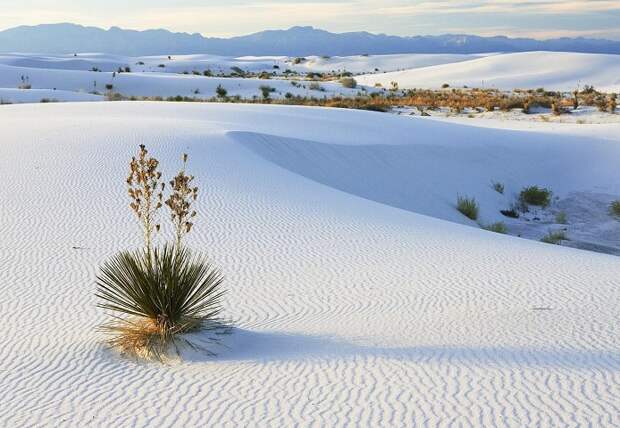 Пустыня Белых Песков (White Sands Desert)
