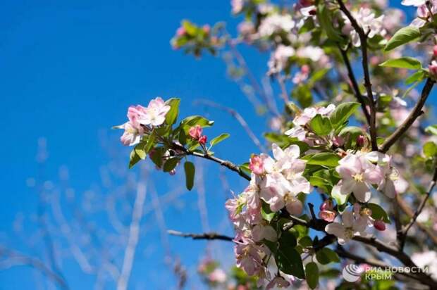 Прогноз погоды в Крыму на вторник