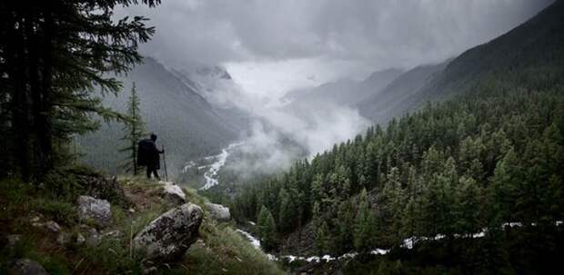 Фотоконкурс National Geographic Россия: Леса Фотоконкурс National Geographic Россия: Леса