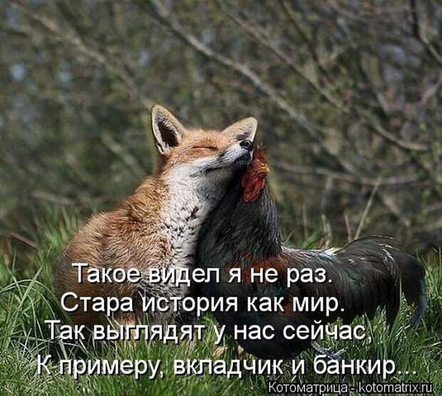 Лучшие котоматрицы недели Лучшие котоматрицы недели