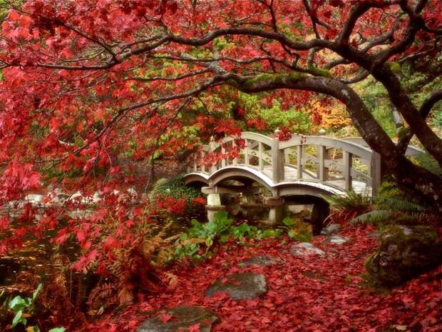10 осенних фотографий, которые стали хитами в блогах fall04 10 осенних фотографий, которые стали хитами в блогах