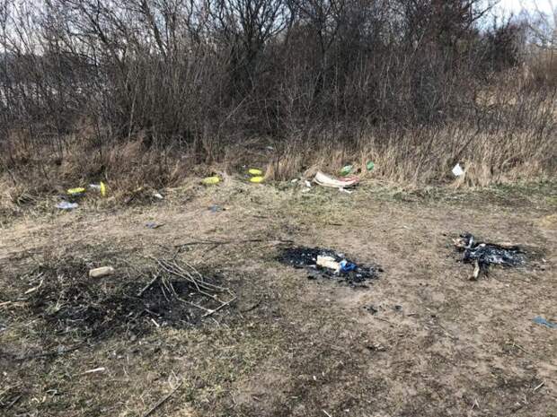 В Тверской области москвичи жгут траву, а местные велят им "убираться домой"