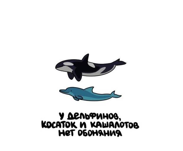 Короткие интересные факты на все случаи жизни