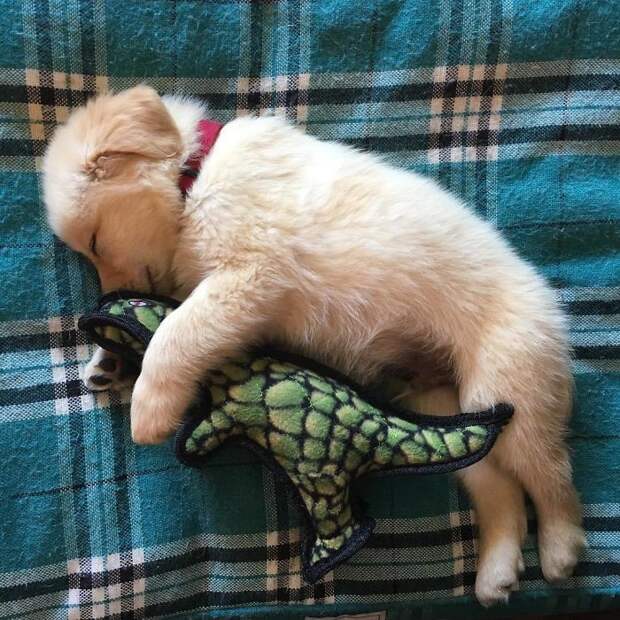 If You Need Me, I'll Be Here