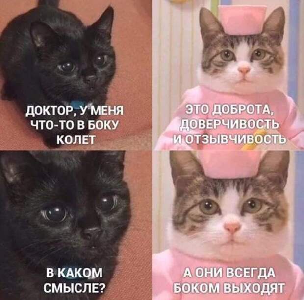 1579562503_rzhaka-6.jpg
