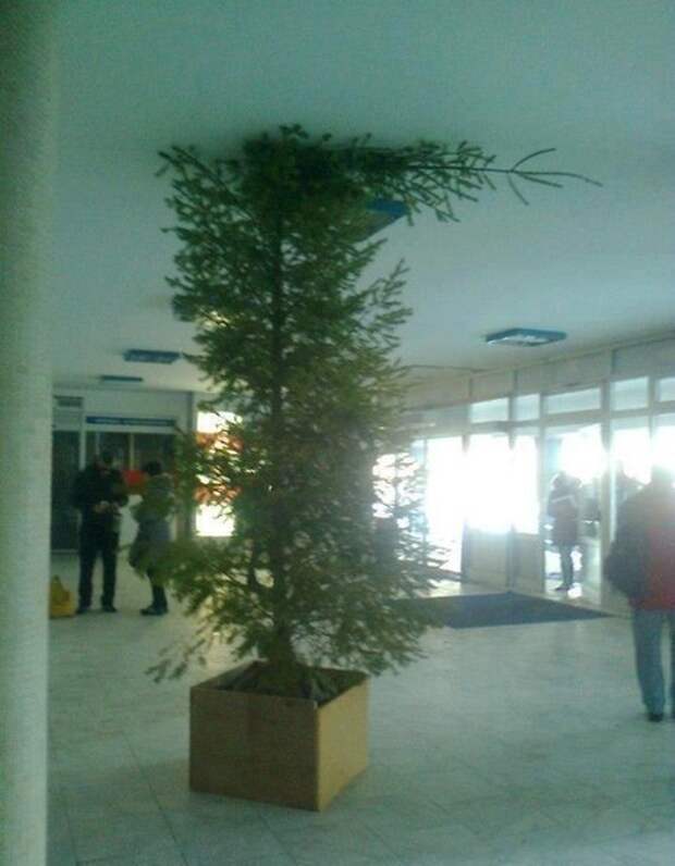 Новогодняя минутка юмора Новогодняя минутка юмора