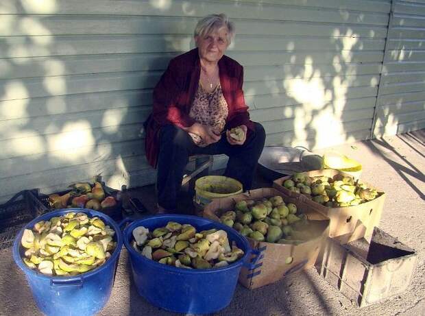 Заготовка фруктов для большой семьи. Фото: crimea.kp.ru