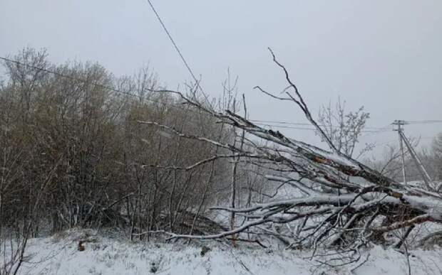 Ненастье бушует: МЧС напомнило рязанцам 4 главных правила в непогоду