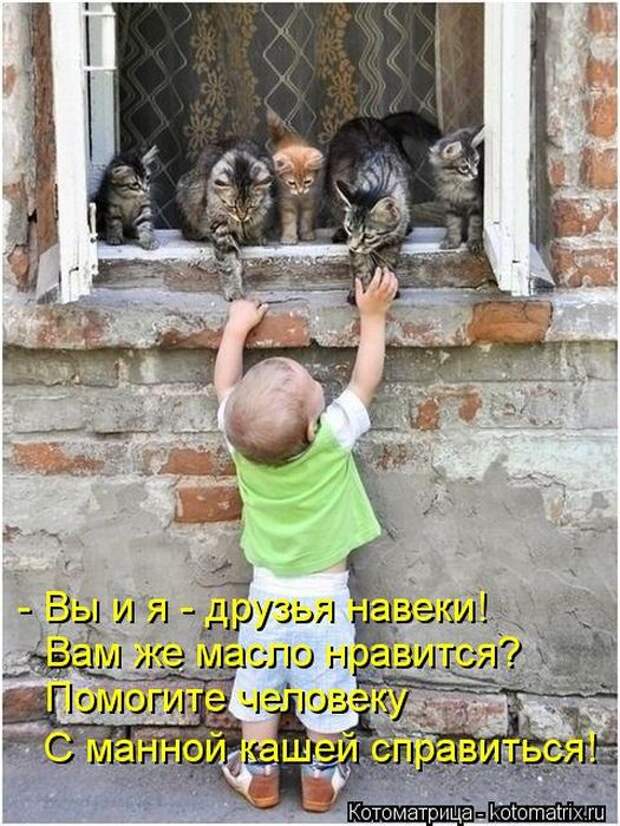 Лучшие котоматрицы недели Лучшие котоматрицы недели