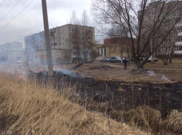В Тверской области москвичи жгут траву, а местные велят им "убираться домой"