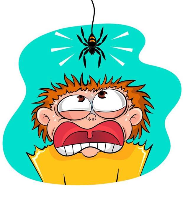 Неужели чума? арахнофобия, исследование, паук, почемучка, страх, терапия