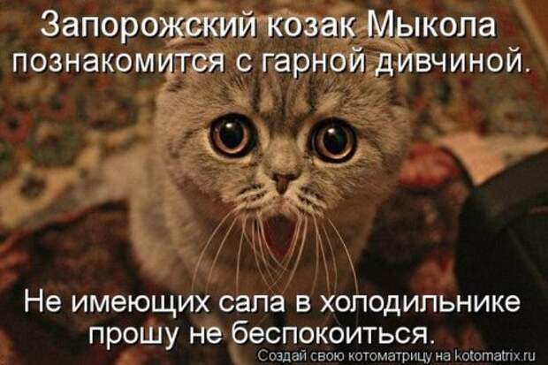 Котоматрицы