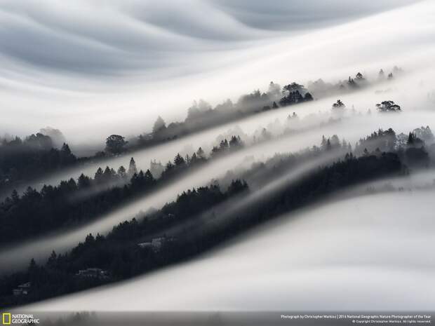 Волны тумана в Милл-Вэлли, штат Калифорния. Вид с горы Тамалпаис.