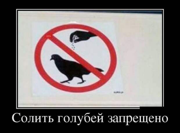 Подборка смешных и веселых демотиваторов для хорошего настроения (11 фото)