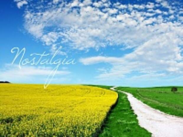 Пейзажи природы 47