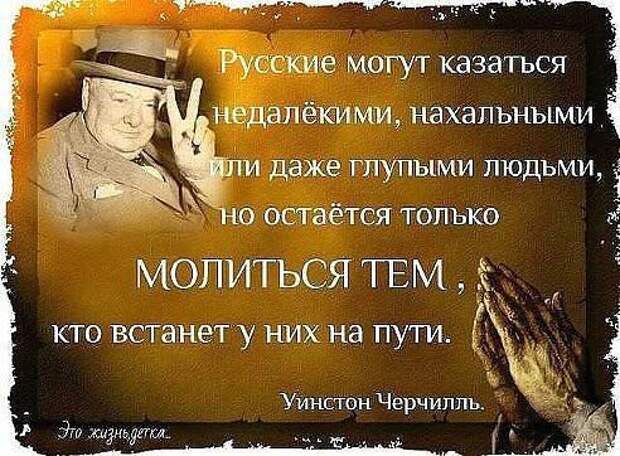 Злободневные цитаты. Голосуйте!