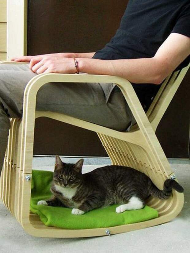 Котодизайн
