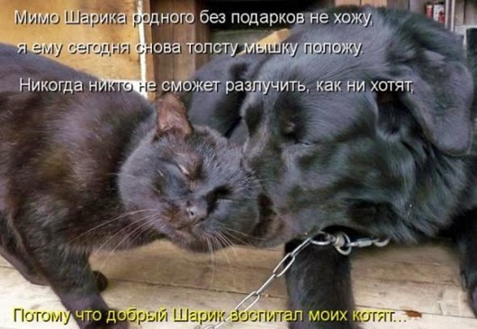 7d4a77efea6e0201bc8e857c1b1_prev