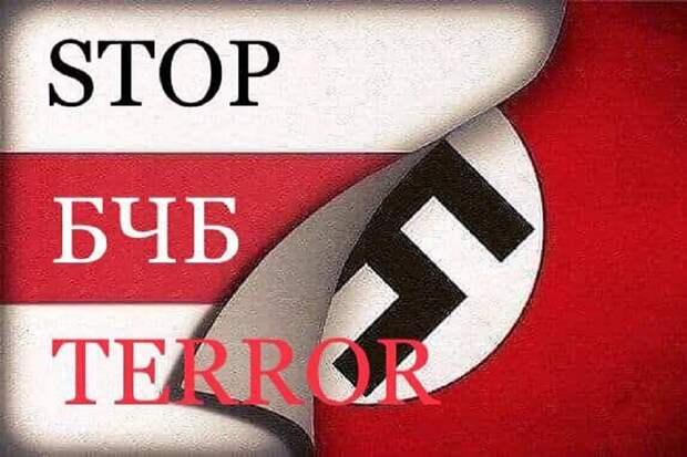 БЧБ и «живе Беларусь» внесут в перечень нацистской символики