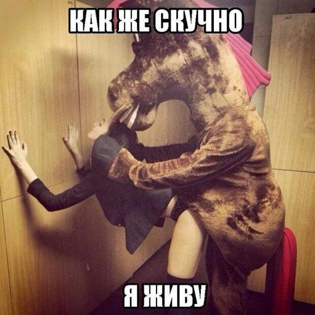 Приколюхи середины дня