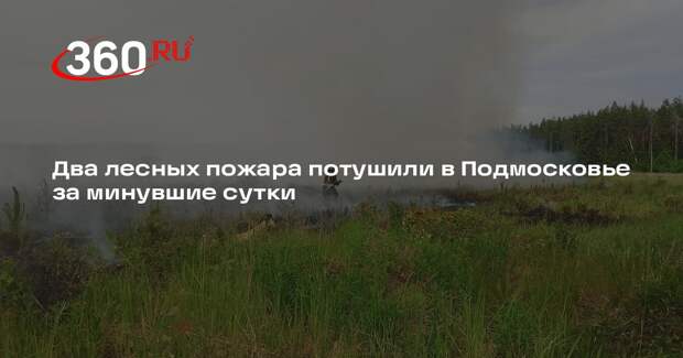 Два лесных пожара потушили в Подмосковье за минувшие сутки