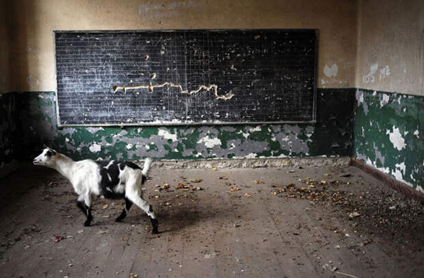 Мир без людей