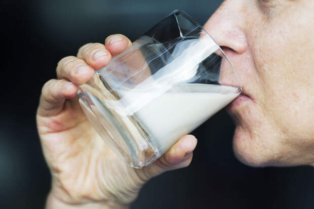 Профессор Чумаков: молоко, мясо и сыр могут быть заражены бруцеллезом