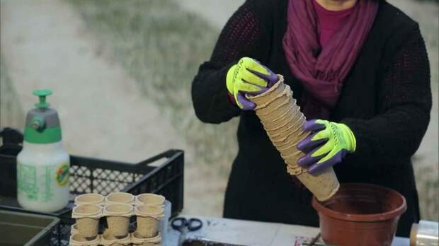 Всё о контейнерах для рассады