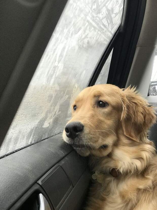 Am I A Good Girl? What Even Is A Good Girl?