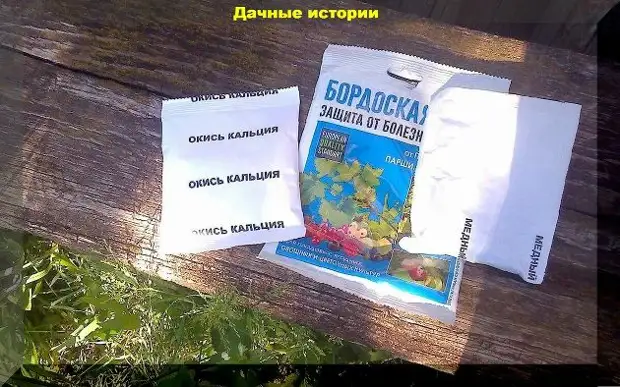Бордоская жидкость: эффективное средство пропив трудновыводимых вредителей